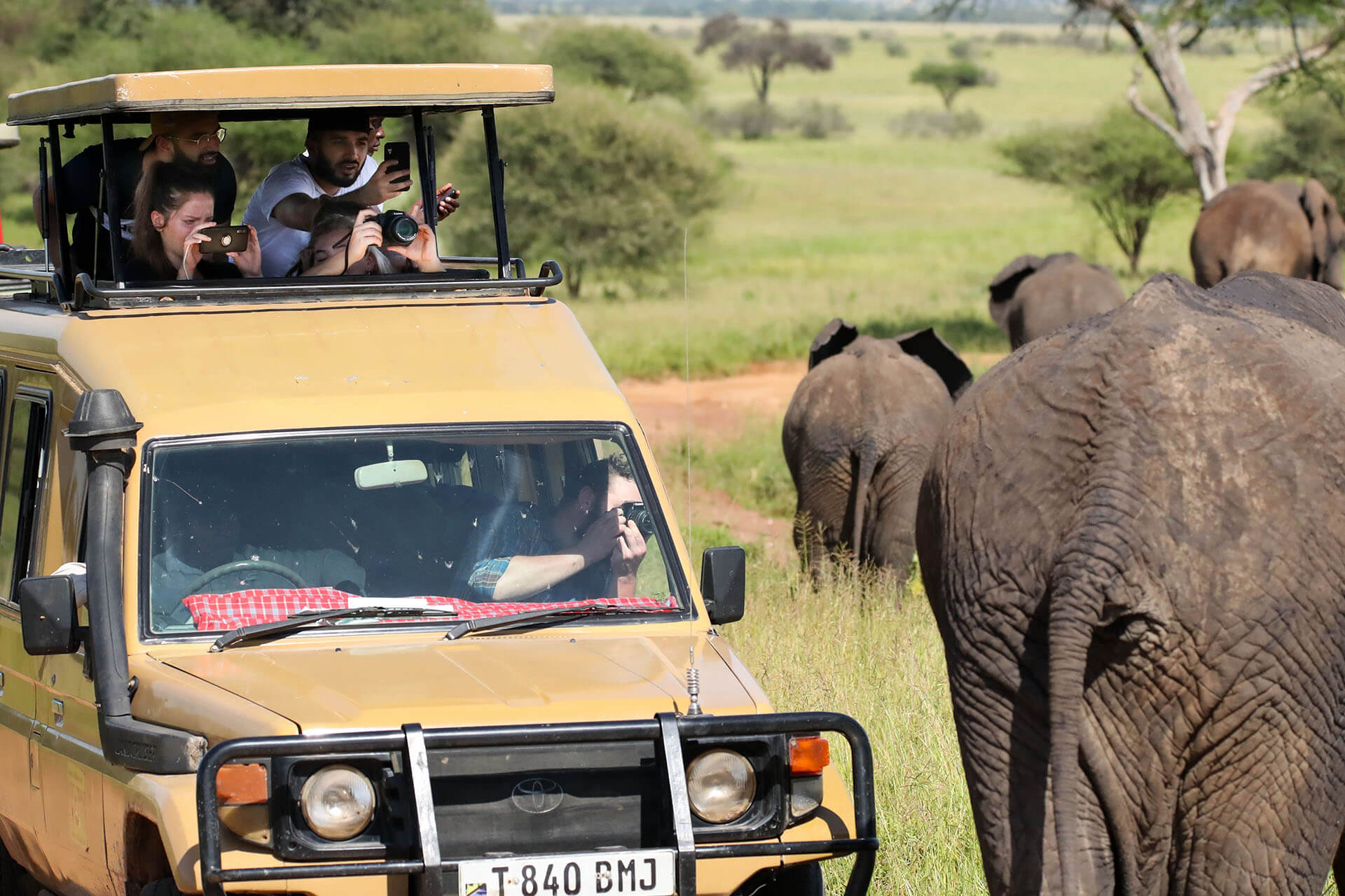 East African Safari Landscape